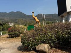 -海南霸王岭国家森林公园
