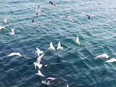 -青岛银沙滩