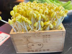 -巴蜀大将火锅(春熙店)