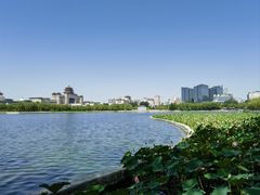 -莲花池公园