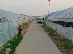 -庞各庄西瓜蔬菜采摘园·锦华瓜园