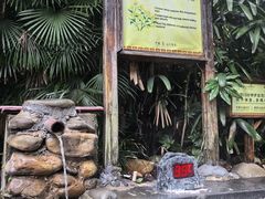 -明月山天沐温泉度假村