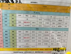 -秦皇星际小蚂蚁乐园