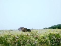 -霍顿平原国家公园