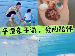 -阿弟特色海鲜餐厅·大排档(平潭店)