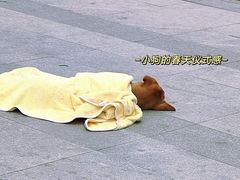 -西湖公园(鼓楼区)
