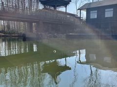 -溱湖国家湿地公园