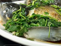 -堤边美食