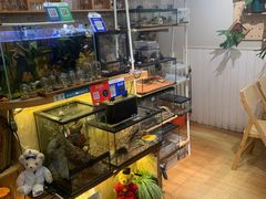-Rabbit Cafe私房西餐甜点咖啡(栖霞路店)
