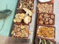 -草墩罗非鱼庄•野生菌•腊排骨(七星街上段店)