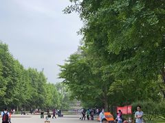 -玲珑塔公园