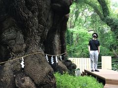 -来宫神社