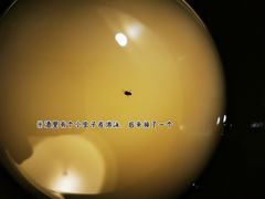 -九田家黑牛烤肉料理(珠江摩尔店)