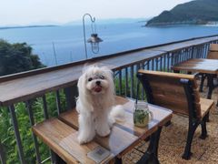 -Brew Farm·精酿农场海滨悬崖餐厅