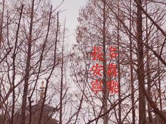 -枫桥夜泊