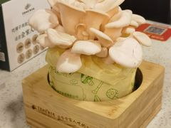 有机海鲜菇-烹然四季椰子鸡火锅(团结湖总店)