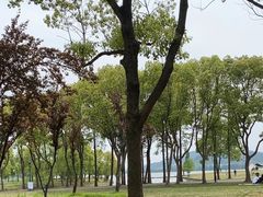 -蠡湖中央公园