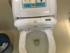 -荷兰花海