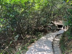 -马峦山郊野公园