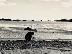 -松岛