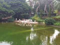 -九龙公园