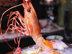 -地球美食剧场