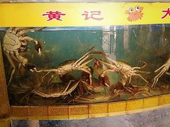 水产区-黄记大闸蟹专卖店·活蟹·醉蟹