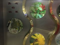 -上海昆虫博物馆