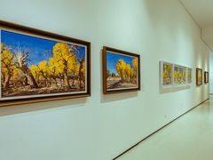 -四川美术学院美术馆