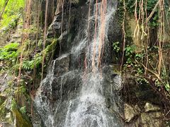 -燕晗山郊野公园