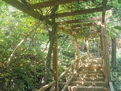 -大岭沟猕猴桃谷风景区