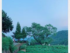 -乌石村
