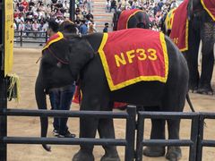 -东芭乐园