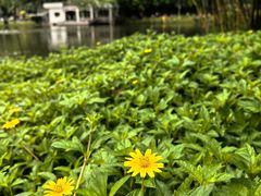 -晓港公园