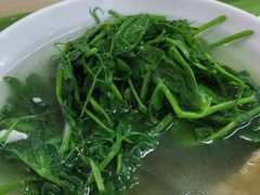 -四川农业大学(雅安校区)