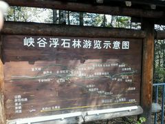 -峡谷浮石林景区