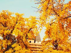 -北京石刻艺术博物馆(五塔寺)