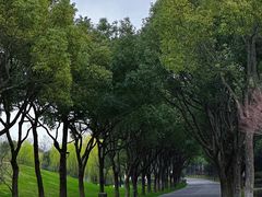 -贡湖湾湿地公园