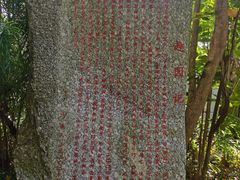 -广东茂名森林公园
