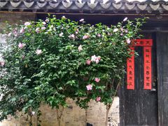 -尚贤河湿地
