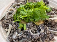 -黑八私房老北京炸酱面