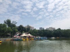-莲湖公园