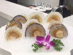 海鲜大拼盘-红菇坊鲜汤火锅(北站店)