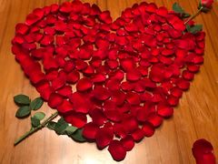 -圣丰索菲特·法国餐厅