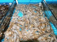 -渡海小渔村.老辈日照菜