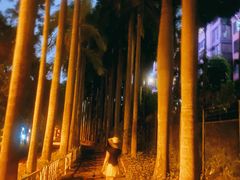 -燕晗山郊野公园