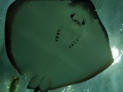 -苏州海洋馆