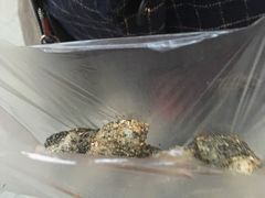 -叶氏麻糍(鼓浪屿店)