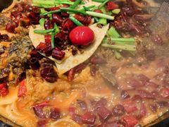 -老板恋上鱼(印象城店)