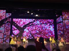 -美育儿童音乐舞蹈国际机构(浦东分校)